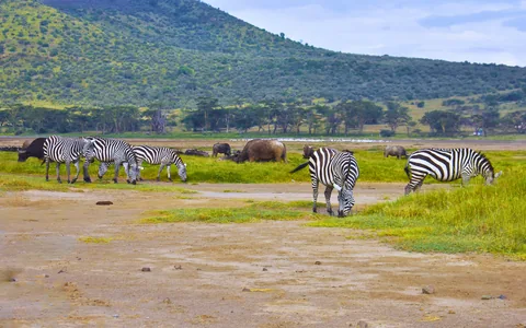 Nakuru + Naivasha - Madaraka Escape