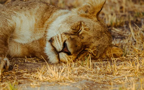 Tsavo East + West - Travel Green Safari